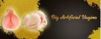 Try the Big Artificial Vagina in India online at Offer Prices